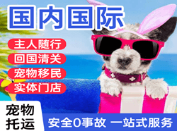 南通兴东航空运输国际宠物托运 【国